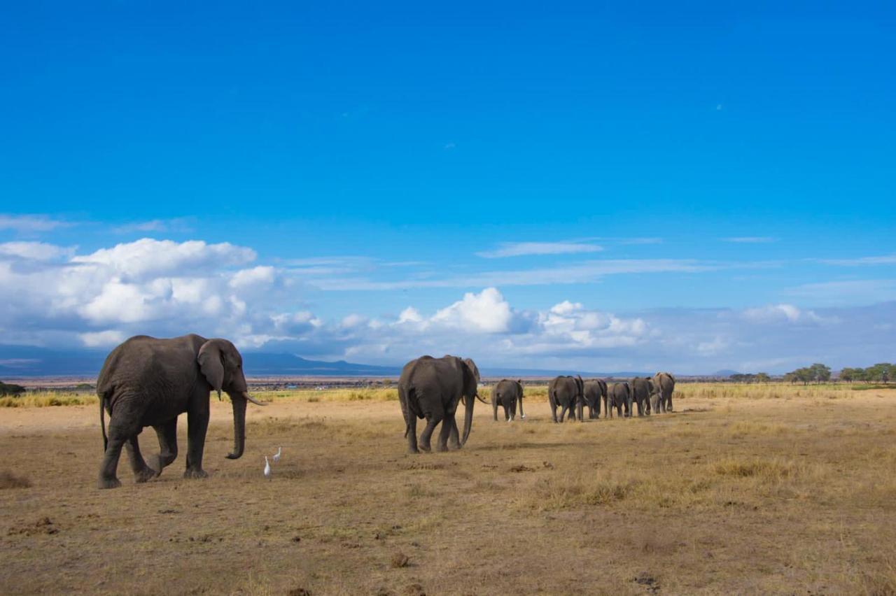 Amboseli Cultural Camping Eksteriør billede