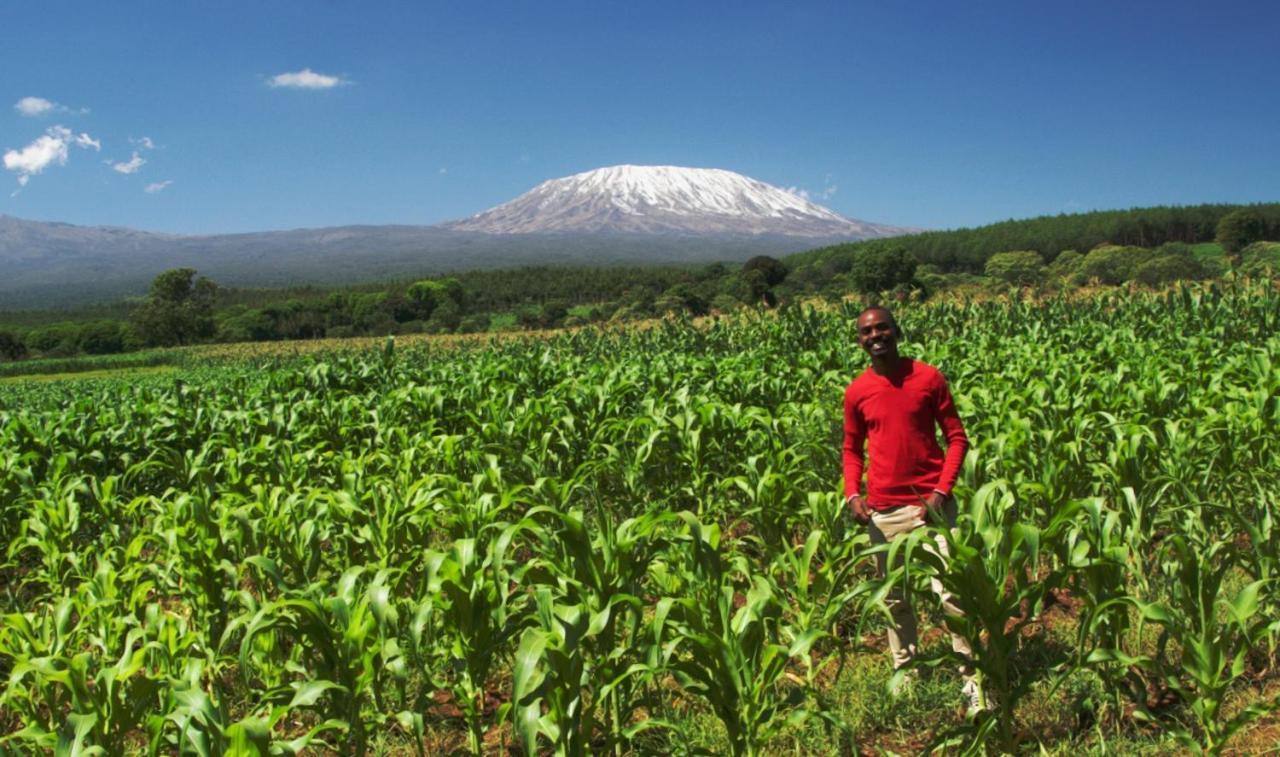 Amboseli Cultural Camping Eksteriør billede