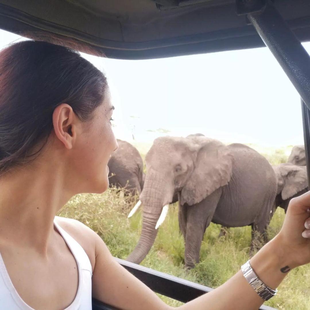 Amboseli Cultural Camping Eksteriør billede