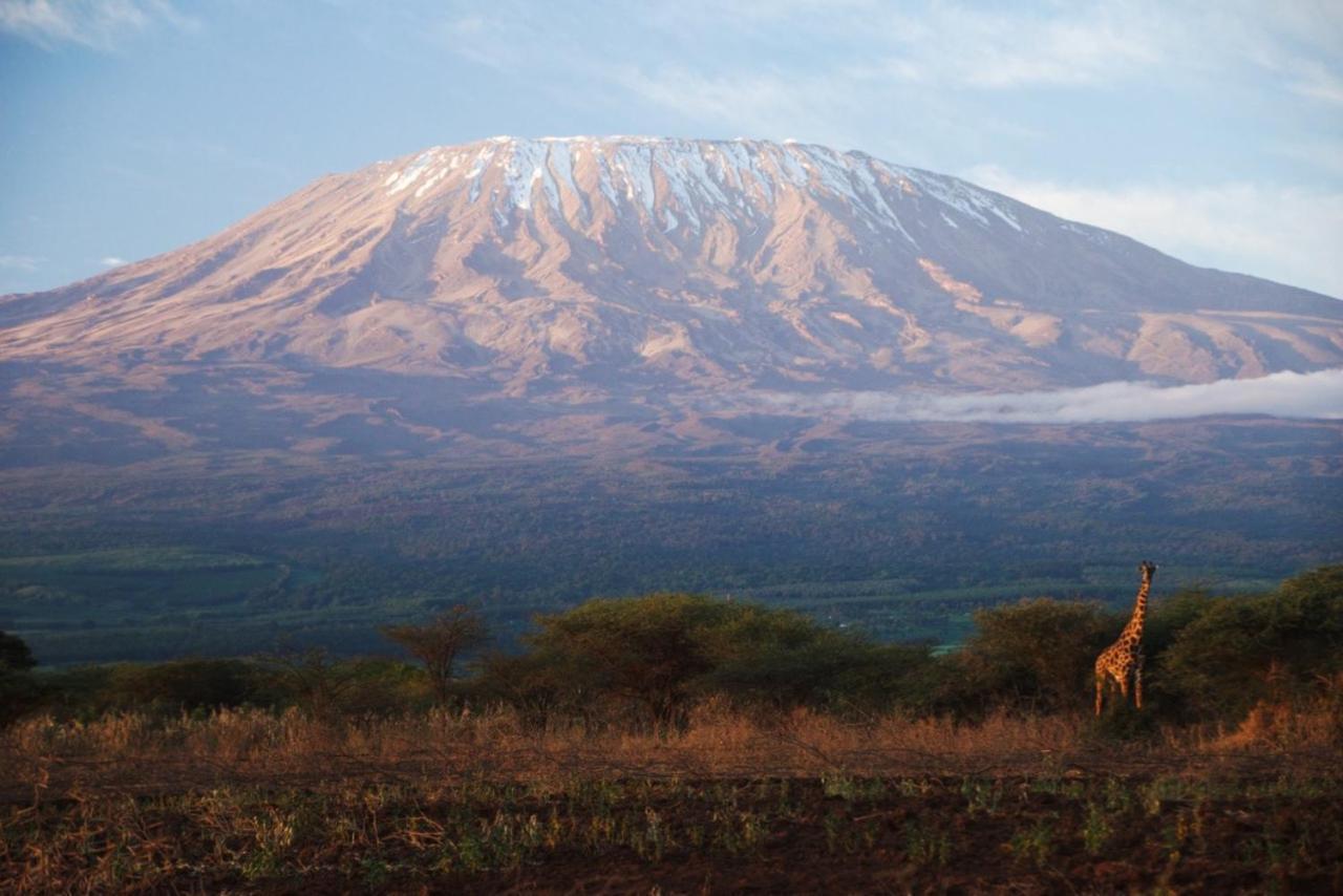 Amboseli Cultural Camping Eksteriør billede